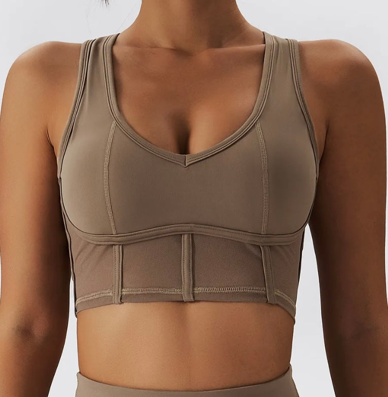 Scarlett Mesh Sports Bra