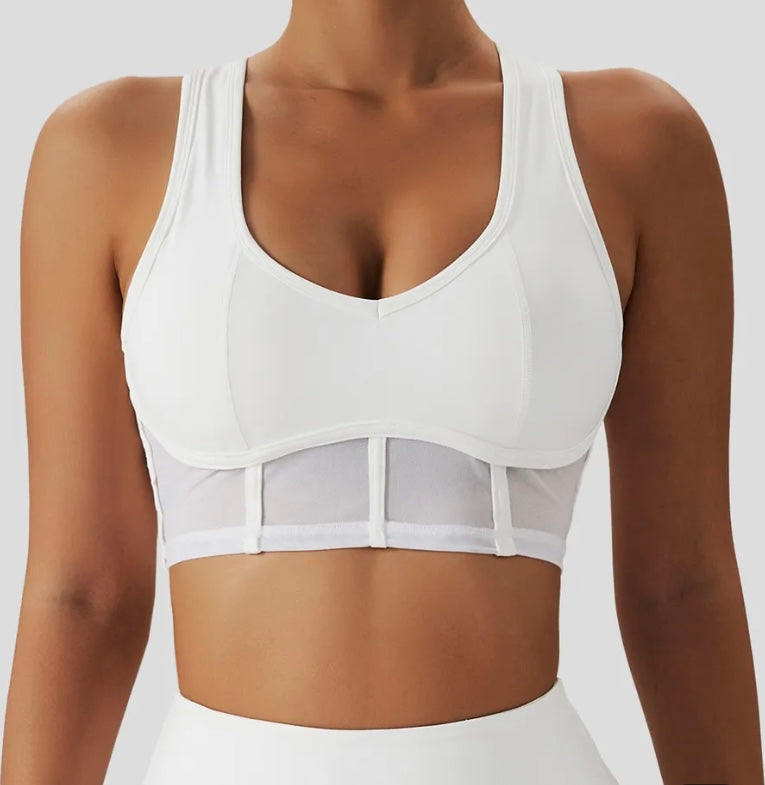 Scarlett Mesh Sports Bra